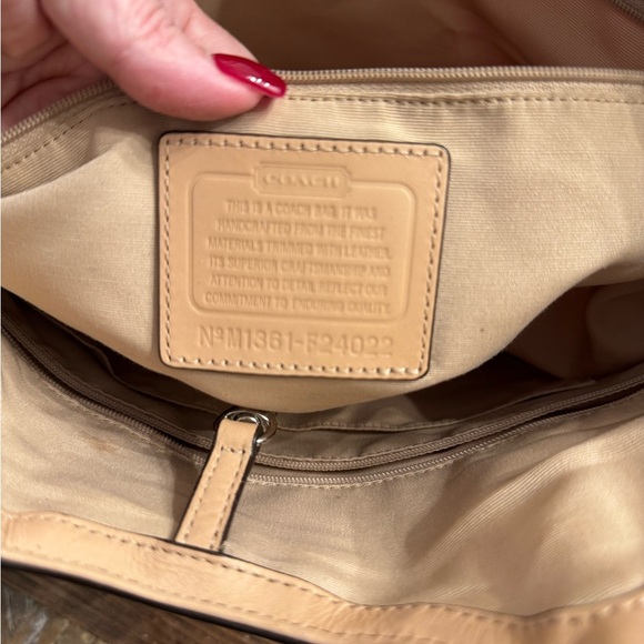 Coach Zebra - Picture 7 of 12